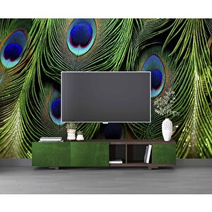 Tavus Kuşu Tüyü Desenli Duvar Kağıdı Baskı - Dkm534071 300x280 cm