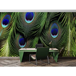 Tavus Kuşu Tüyü Desenli Duvar Kağıdı Baskı - Dkm534071