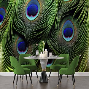 Tavus Kuşu Tüyü Desenli Duvar Kağıdı Baskı - Dkm534071