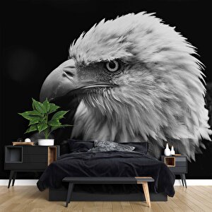 Siyah Beyaz Kartal Temalı Duvar Kağıdı Baskı - Dkm516068 225x280 cm