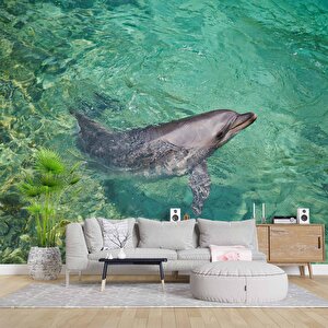 Deniz Ve Yunus Balığı Temalı Duvar Kağıdı - Dkm679070 275x280 cm