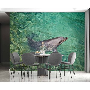 Deniz Ve Yunus Balığı Temalı Duvar Kağıdı - Dkm679070