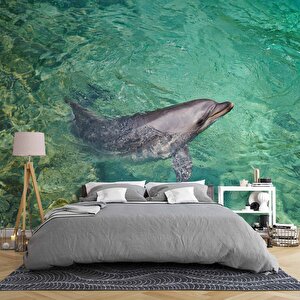 Deniz Ve Yunus Balığı Temalı Duvar Kağıdı - Dkm679110 225x315 cm