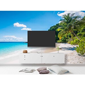 Palmiye Deniz Manzaralı Duvar Kağıdı Baskı - Dkm253041 700x240 cm