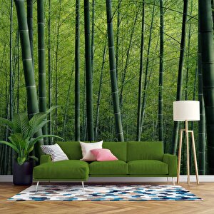 Bambu Ormanı Manzaralı Duvar Kağıdı - Dkm651028 275x240 cm