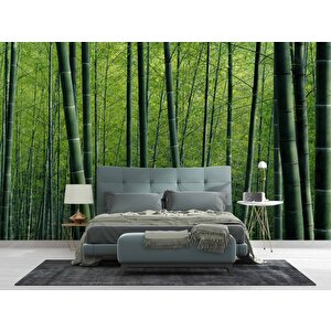 Bambu Ormanı Manzaralı Duvar Kağıdı - Dkm651070 275x280 cm