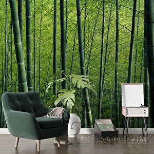 Bambu Ormanı Manzaralı Duvar Kağıdı - Dkm651108