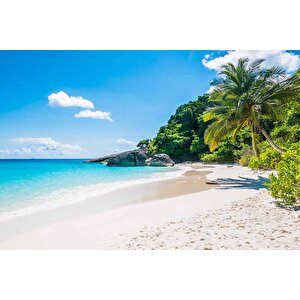 Palmiye Deniz Manzaralı Duvar Kağıdı Baskı - Dkm253102