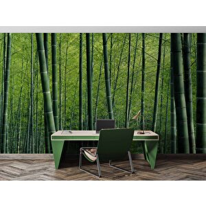 Bambu Ormanı Manzaralı Duvar Kağıdı - Dkm651008