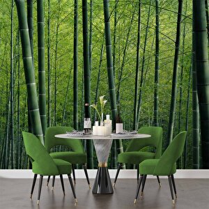 Bambu Ormanı Manzaralı Duvar Kağıdı - Dkm651008