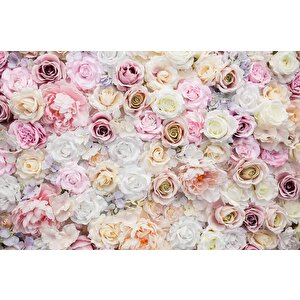 Pembe Beyaz Gül Desenli Duvar Kağıdı - Dkm469126