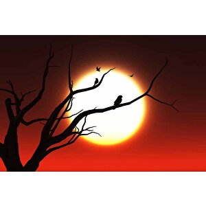 Kızıl Ay Ve Ağaç Temalı Duvar Kağıdı - Dkm660123