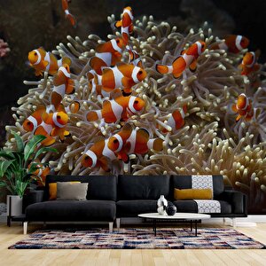 Japon Balığı Ve Akvaryum Manzaralı Duvar Kağıdı - Dkm723097 425x300 cm