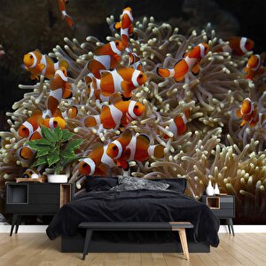 Japon Balığı Ve Akvaryum Manzaralı Duvar Kağıdı - Dkm723097 425x300 cm