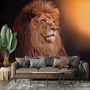Aslan Temalı Duvar Kağıdı - Dkm577052 350x260 cm