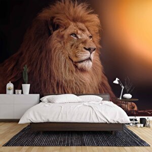 Aslan Temalı Duvar Kağıdı - Dkm577015 475x200 cm