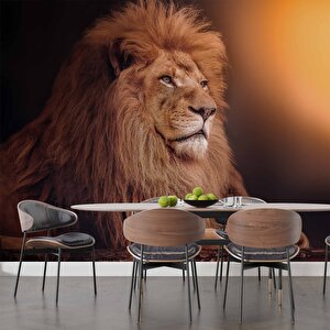 Aslan Temalı Duvar Kağıdı - Dkm577067