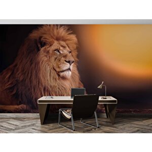 Aslan Temalı Duvar Kağıdı - Dkm577019 600x200 cm