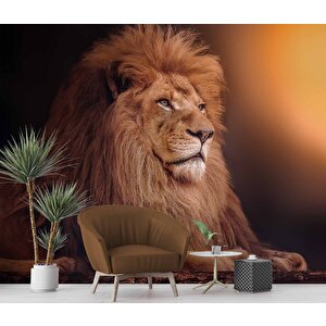 Aslan Temalı Duvar Kağıdı - Dkm577104