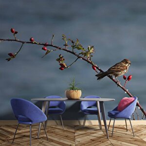 Gökyüzü Ve Kuş Manzaralı Duvar Kağıdı - Dkm742074