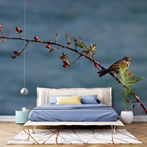 Gökyüzü Ve Kuş Manzaralı Duvar Kağıdı - Dkm742089 225x300 cm