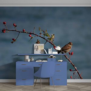 Gökyüzü Ve Kuş Manzaralı Duvar Kağıdı - Dkm742008