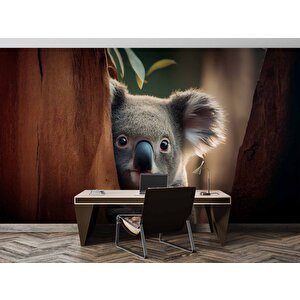 Koala Temalı Duvar Kağıdı - Dkm868115