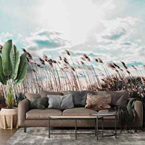 Buğday Tarlası Temalı Duvar Kağıdı - Dkm767035 450x240 cm