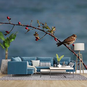 Gökyüzü Ve Kuş Manzaralı Duvar Kağıdı - Dkm742058 500x260 cm