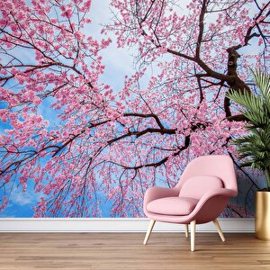 Gökyüzü Ve Pembe Ağaç Manzaralı Duvar Kağıdı - Dkm706087