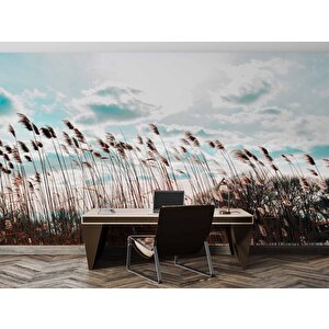 Buğday Tarlası Temalı Duvar Kağıdı - Dkm767085