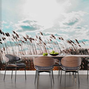 Buğday Tarlası Temalı Duvar Kağıdı - Dkm767058