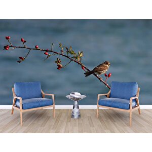 Gökyüzü Ve Kuş Manzaralı Duvar Kağıdı - Dkm742068