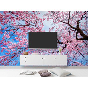 Gökyüzü Ve Pembe Ağaç Manzaralı Duvar Kağıdı - Dkm706025 200x240 cm