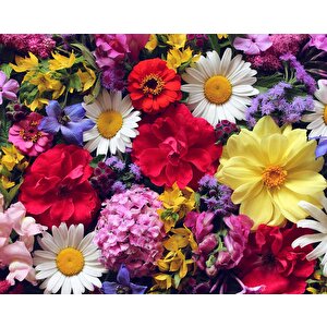 Renkli Çiçek Temalı Duvar Kağıdı Baskı - Dkm517035