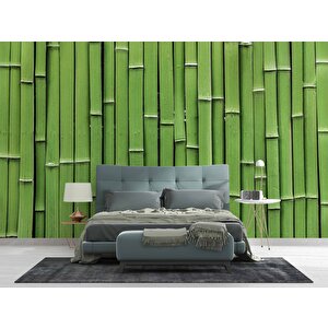 3 Boyutlu Yeşil Bambu Temalı Duvar Kağıdı - Dkm627116 375x315 cm