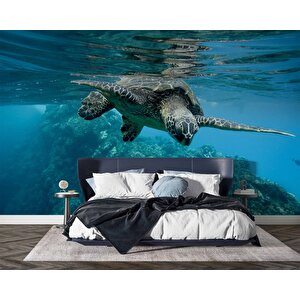 Denizaltı Kaplumbağ Manzaralı Duvar Kağıdı - Dkm829042 800x240 cm