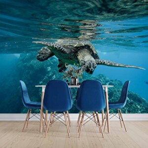 Denizaltı Kaplumbağ Manzaralı Duvar Kağıdı - Dkm829042