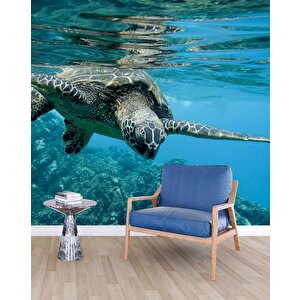 Denizaltı Kaplumbağ Manzaralı Duvar Kağıdı - Dkm829042