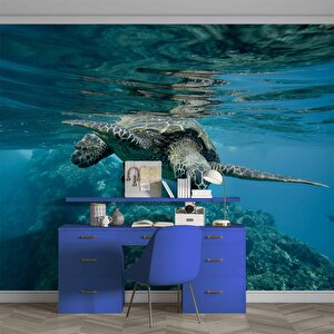 Denizaltı Kaplumbağ Manzaralı Duvar Kağıdı - Dkm829068 225x280 cm