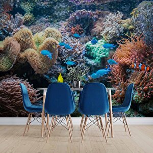 3 Boyutlu Akvaryum Temalı Duvar Kağıdı - Dkm663104