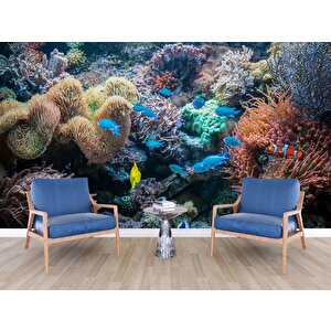 3 Boyutlu Akvaryum Temalı Duvar Kağıdı - Dkm663104