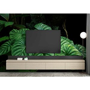 Tropikal Yaprak Desenli Duvar Kağıdı Baskı - Dkm095042 800x240 cm