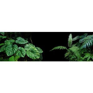 Tropikal Yaprak Desenli Duvar Kağıdı Baskı - Dkm095108