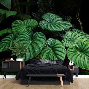 Tropikal Yaprak Desenli Duvar Kağıdı Baskı - Dkm095055 425x260 cm