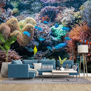 3 Boyutlu Akvaryum Temalı Duvar Kağıdı - Dkm663099 475x300 cm