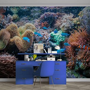 3 Boyutlu Akvaryum Temalı Duvar Kağıdı - Dkm663099
