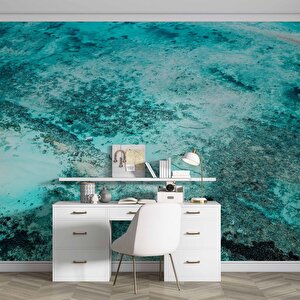 Şeffaf Deniz Manzaralı Duvar Kağıdı - Dkm589121