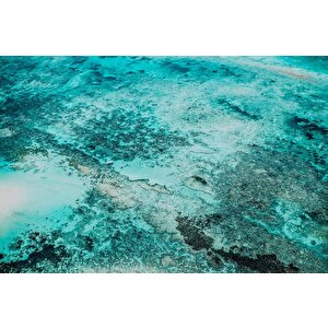 Şeffaf Deniz Manzaralı Duvar Kağıdı - Dkm589045