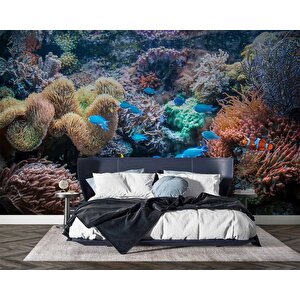 3 Boyutlu Akvaryum Temalı Duvar Kağıdı - Dkm663061 600x260 cm